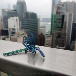 Lace dragonfly in Hong Kong